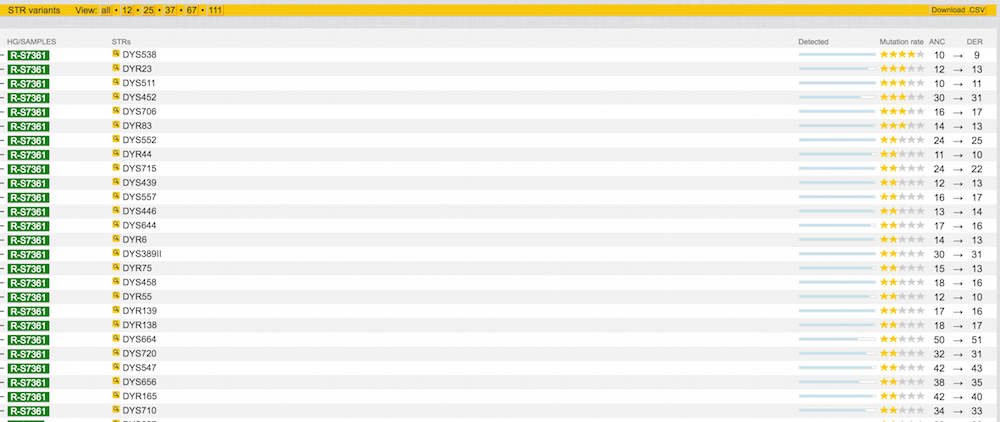 YFull S7361 STR values for WAH to 111 markers